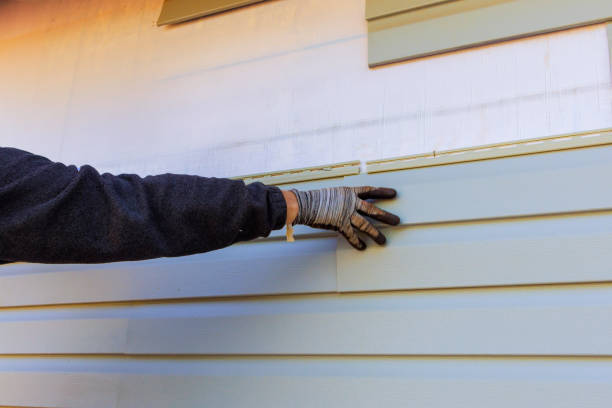 Best Siding Painting and Refinishing  in Rosend, LA